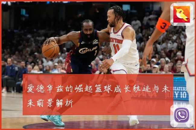 爱德华兹的崛起篮球成长轨迹与未来前景解析