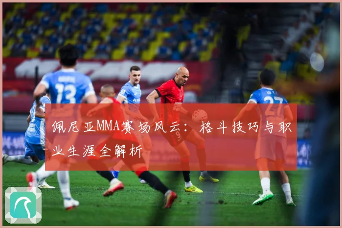 佩尼亚MMA赛场风云：格斗技巧与职业生涯全解析