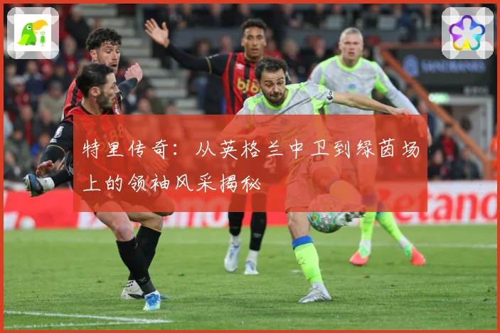 特里传奇：从英格兰中卫到绿茵场上的领袖风采揭秘